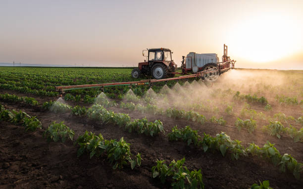 Insect Control in Orlovista, FL