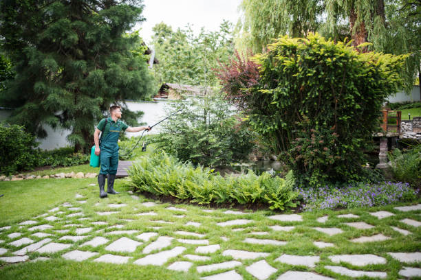 Best Pest Control Near Me in Orlovista, FL