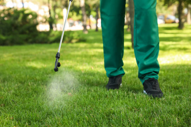 Pest Control Cost in Orlovista, FL
