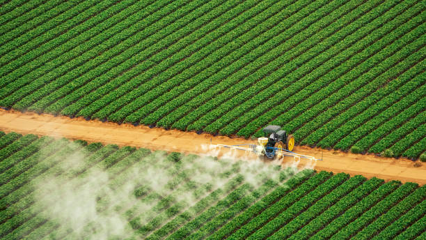Best Pest Control Near Me  in Orlovista, FL